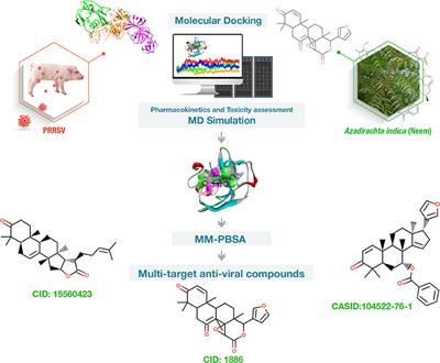 Investigating Multi-Target Antiviral Compounds by Screening of Phytochemicals From Neem (Azadirachta indica) Against PRRSV: A Vetinformatics Approach